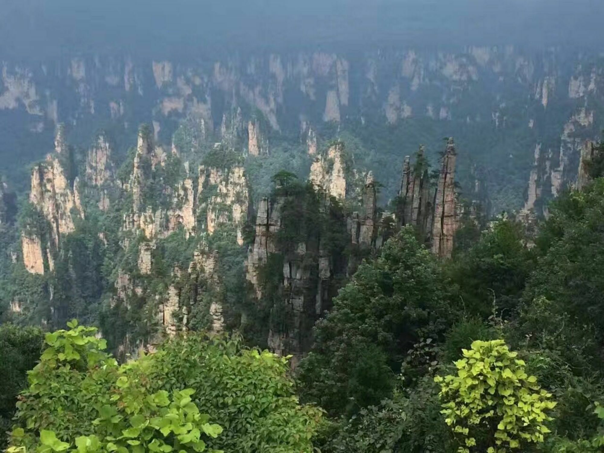 Zhangjiajie Yueranju Hostel Εξωτερικό φωτογραφία